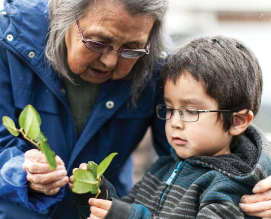 BC Healthy Kids Program