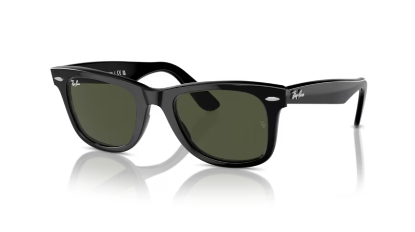 RayBan 'Wayfarer' Sunglasses
