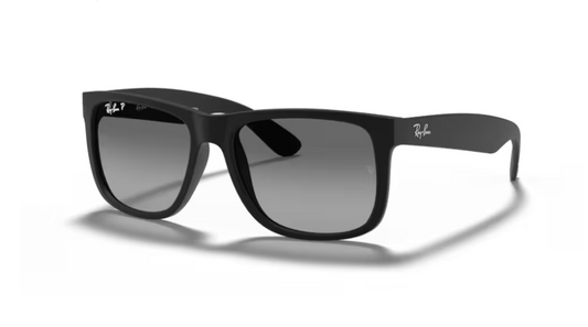 RayBan 'Justin' Sunglasses
