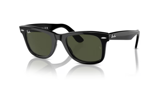 RayBan 'Wayfarer' Sunglasses